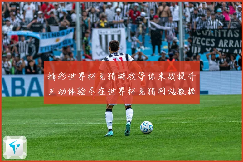 精彩世界杯竞猜游戏等你来战提升互动体验尽在世界杯竞猜网站数据研判