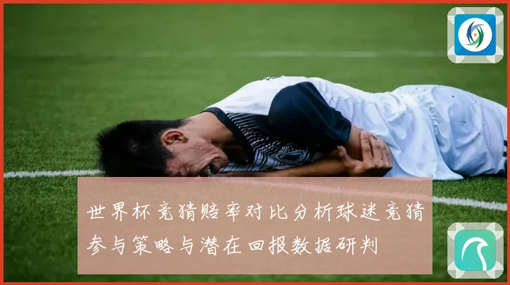 世界杯竞猜赔率对比分析球迷竞猜参与策略与潜在回报数据研判